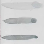 AC-501 OXIDO GRIS AZULADO