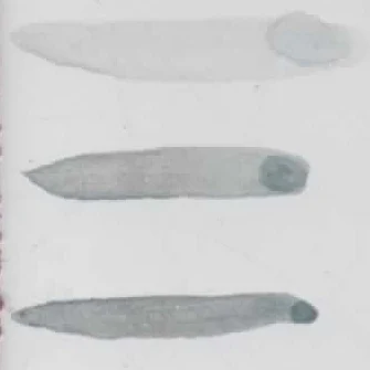 AC-501 OXIDO GRIS AZULADO