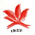 DS-11 ROJO AMAPOLA 171251-D