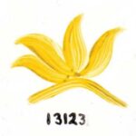 DS-07 AMARILLO MANDARIN 131230