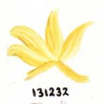 DS-08 AMARILLO LIMON 131232