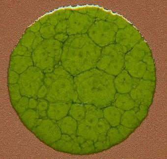 ESMALTES DE CUERDA SECA